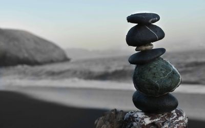 Sostenibilidad y salud : ¿Qué implica ser un fondo Artículo 8?